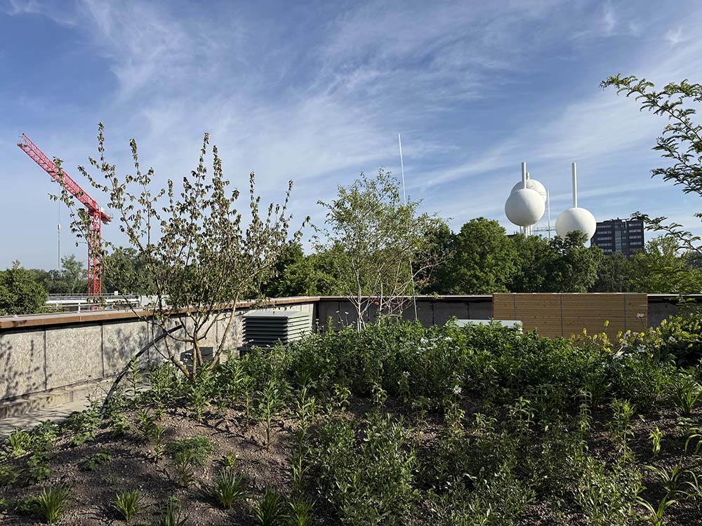 nieuwbouw zuiveringsgebouw