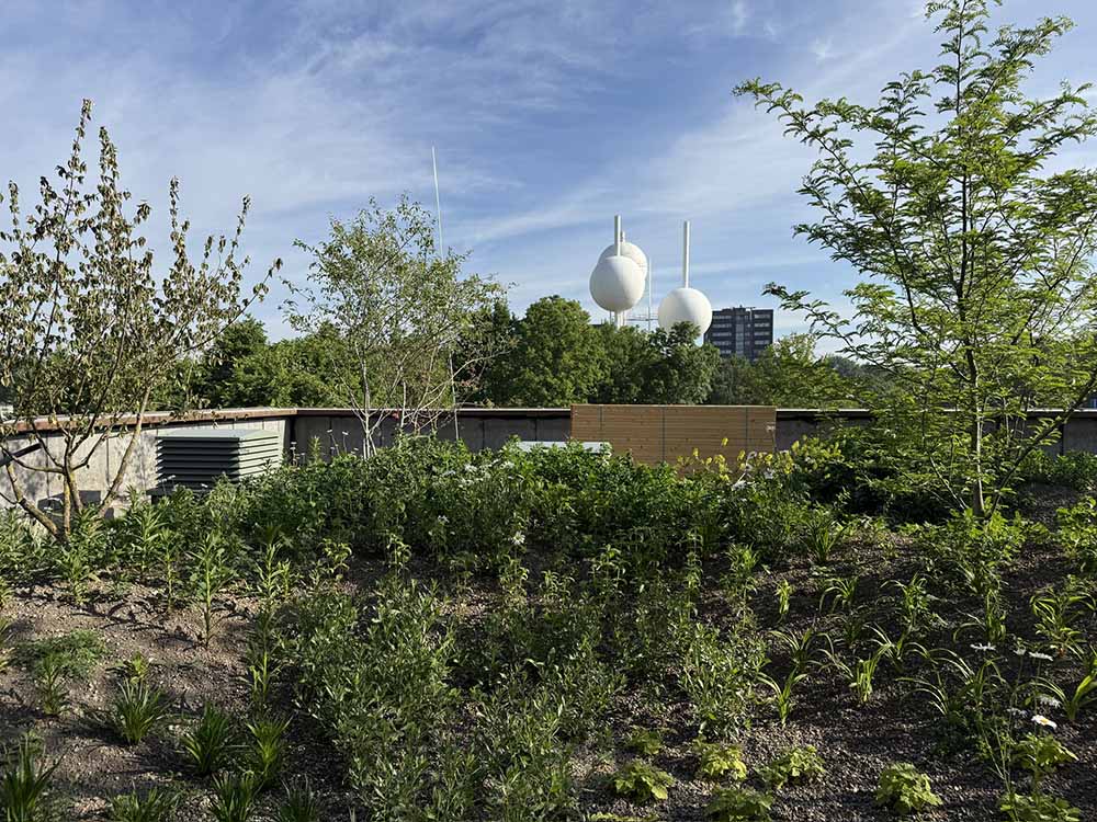 Dak Zuiveringsgebouw Eindhoven